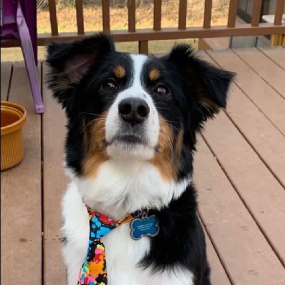 Meet your Posher, Donna